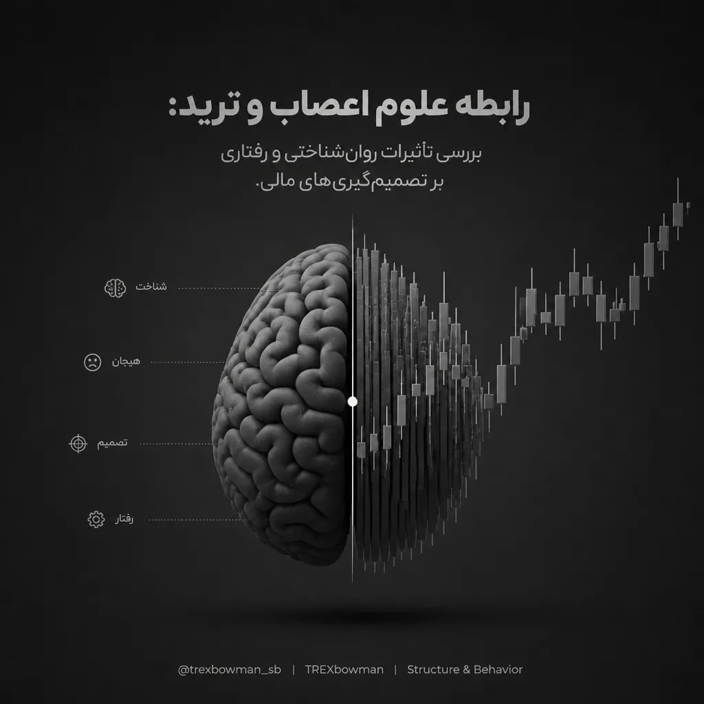 رابطه علوم اعصاب و ترید و تأثیر مغز بر تصمیم‌گیری‌های مالی